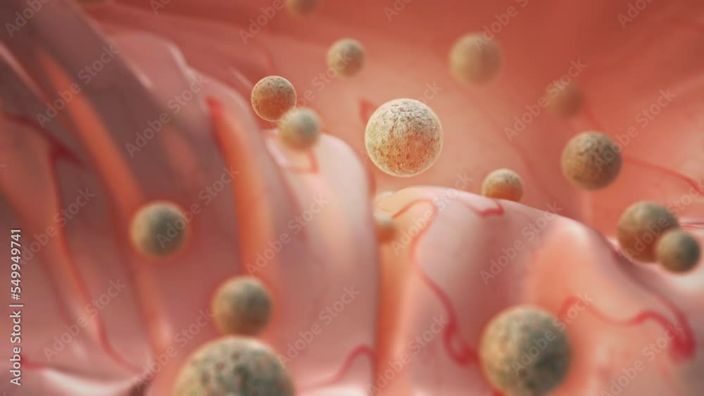 Human cell or Embryonic stem cell 