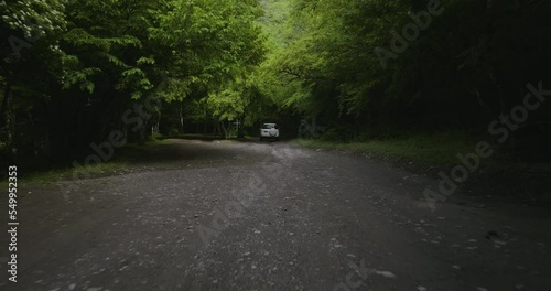 Driving thru the forest near the monastery of Mtsvane Monastery photo