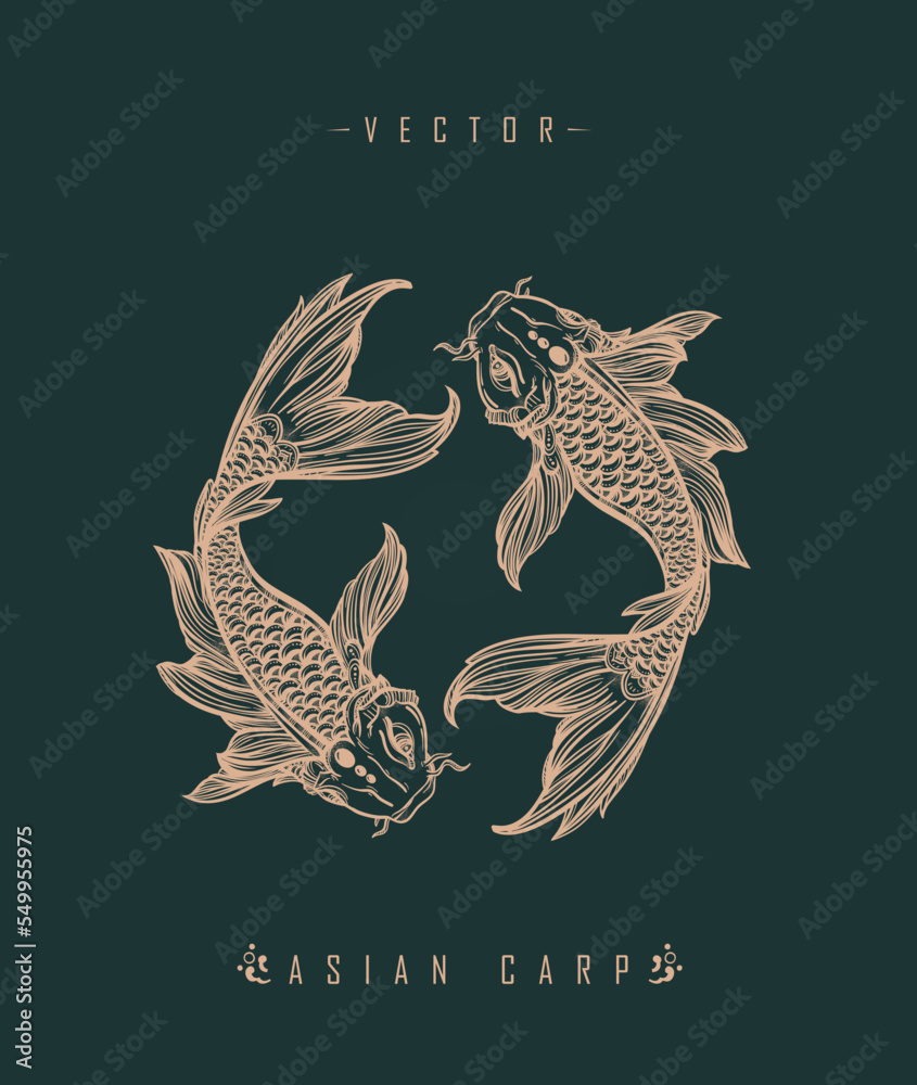 Chinese carp traditional art form Stock Vector | Adobe Stock
