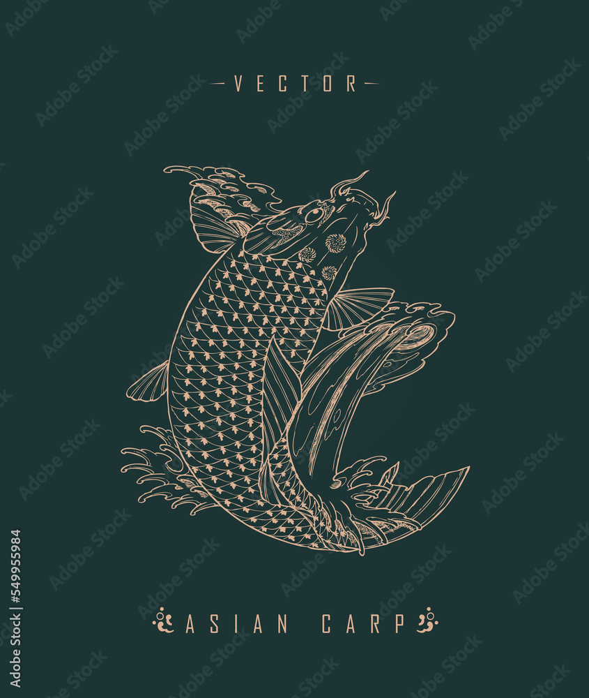Chinese Carp Printable