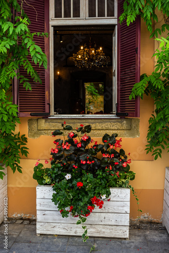 Fototapeta Naklejka Na Ścianę i Meble -  decorating window sills on the street side red geranium in flowerpots. Blooming red Pelargonium hortorum