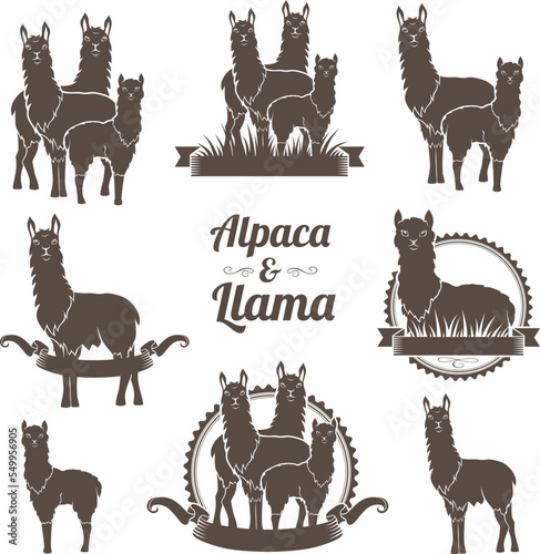 Alpaca and llamas emblems collection.
