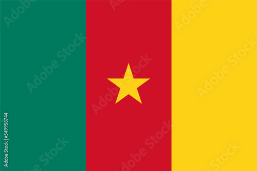 Cameroon flag standard shape and color