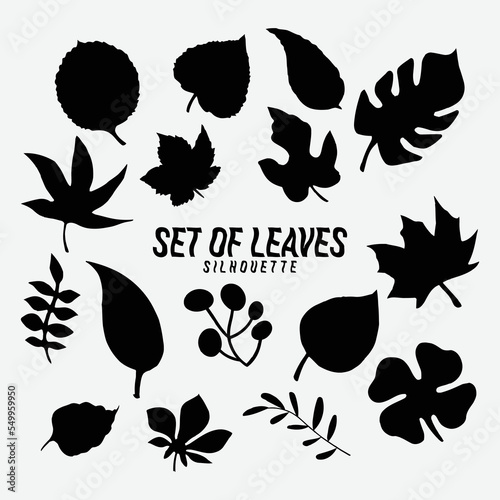 Black autumn leaves or foliage silhouettes are isolated on white background. vector fall tree leaf shapes with maple, oak, birch, and other nordic leave little twisted