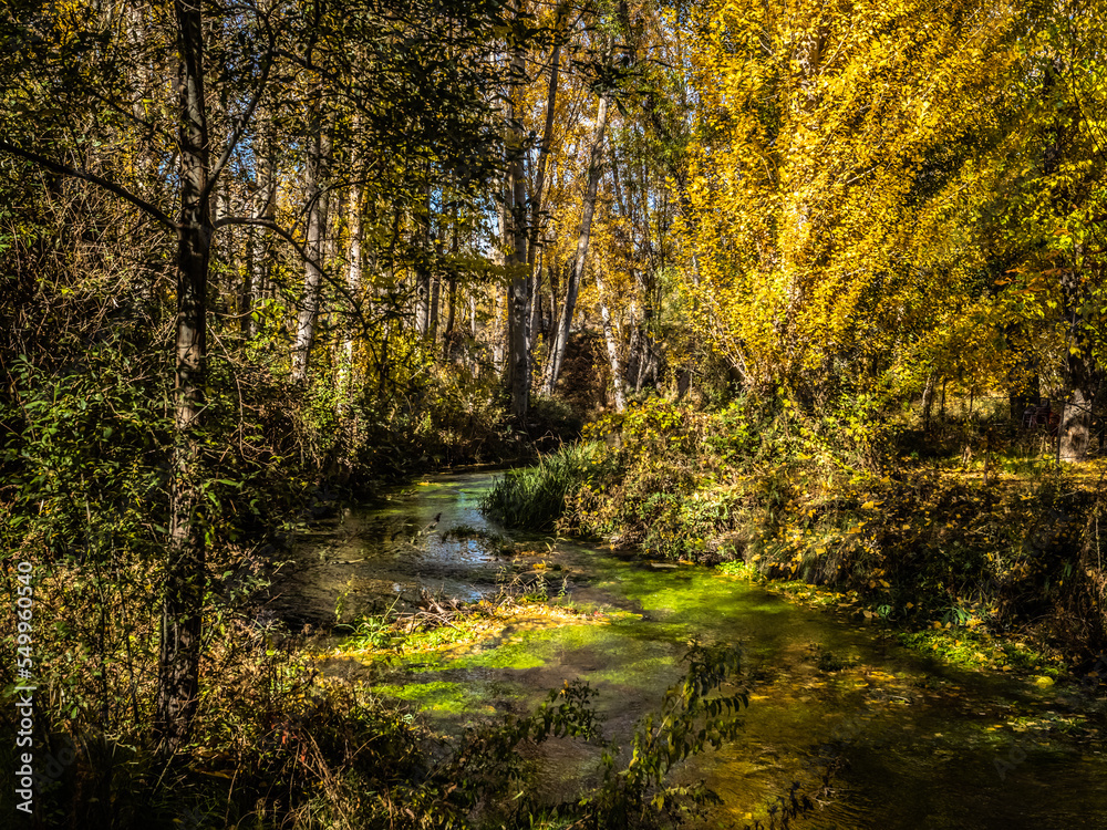 Fall Fall