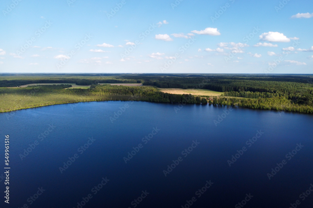 Aerial view of lake and forest. Summer lake, aerial landscape, beautiful nature