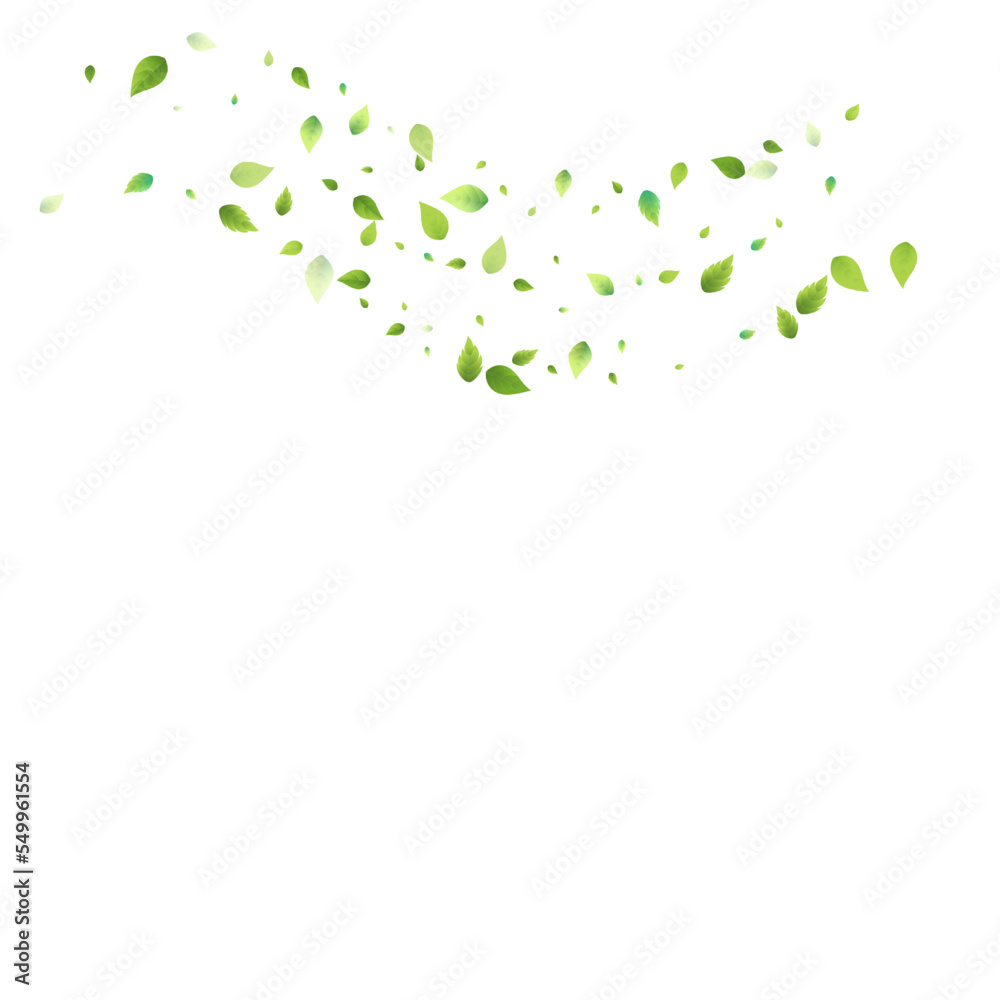 Leaves Green Falling Flying Foliage Leaf Tea Mint Leaves Green Falling Flying Foliage Leaf Tea Mint