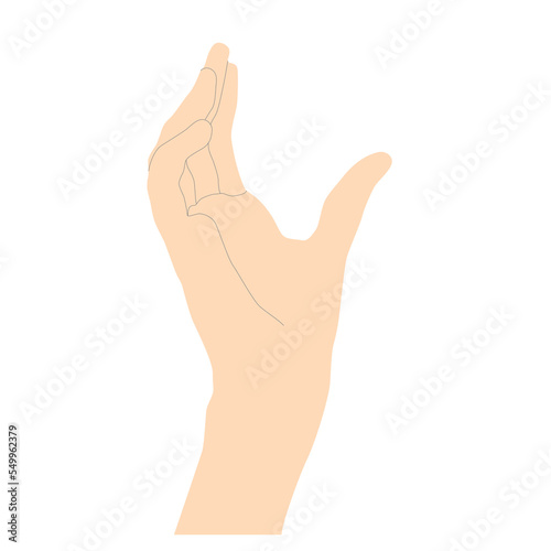 Gentle female hand in light beige minimalistic style with lines to outline shapes as if holding something or reaching somewhere, vector isolated on white background.