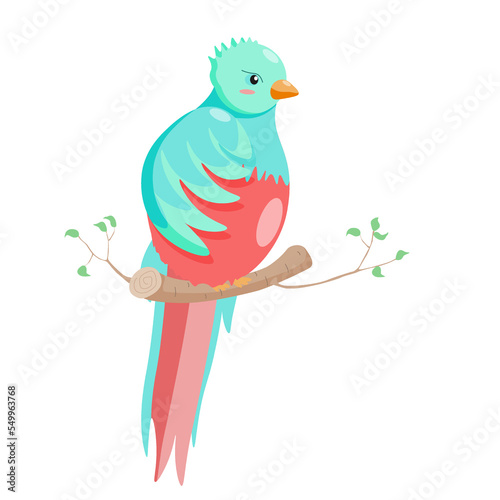 Cartoon bird quetzal character on tree branch with leaves on white background with shadow, vector isolated.