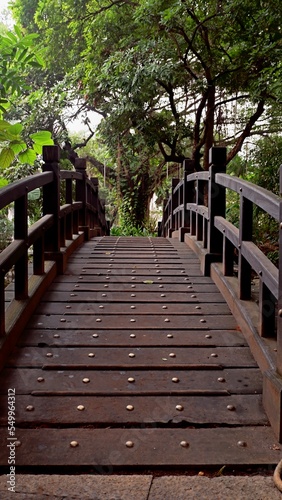Bridge across emprtiness