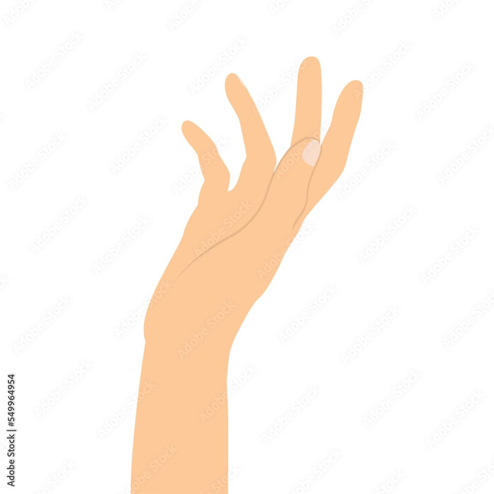 hand showing five fingers isolated on white background vector illustration. hand showing five fingers isolated on white background vector illustration.