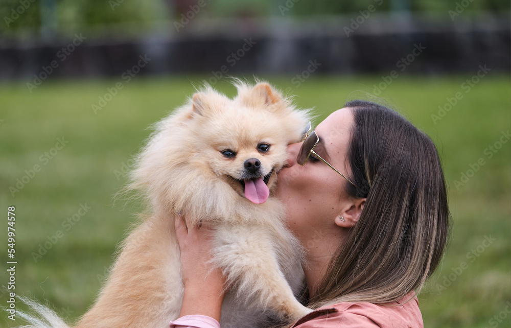 Girl kissing her pomeranian dog. Dog posing with her tongue out Girl kissing her pomeranian dog. Dog posing with her tongue out