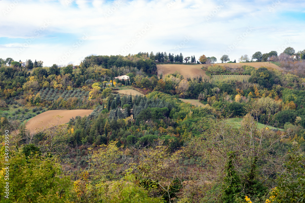 Autumn view of fields  and woods under Belvedere Fogliense, Region Marche of Italy.