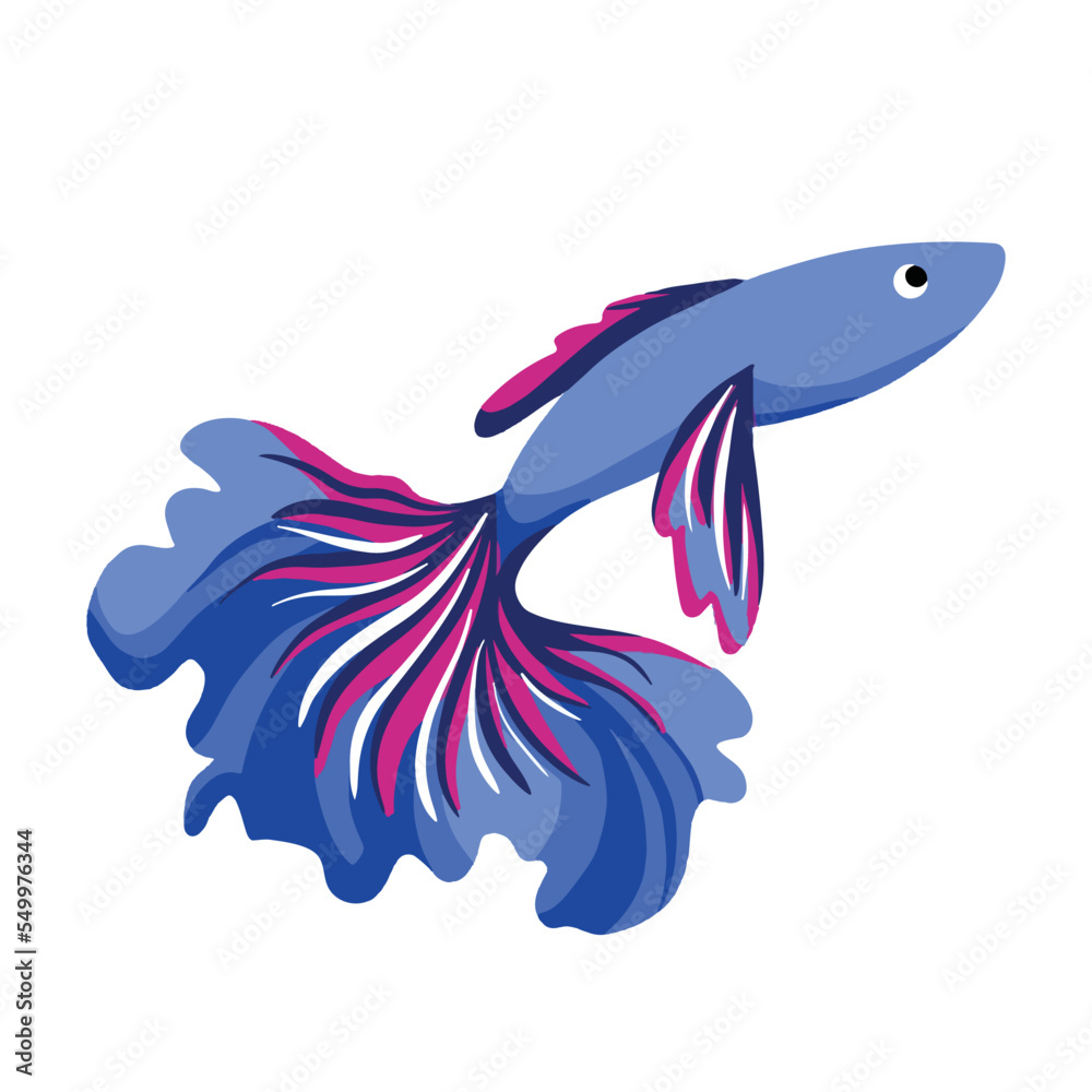 Siamese fighting fish vector illustration isolated on white background.  Blue ikan cupang water aquatic animal drawing with cartoon flat art style  and colors. Stock Vector | Adobe Stock