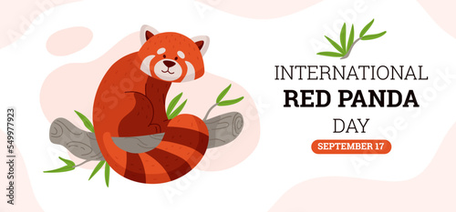 Website banner template about international red panda day flat style