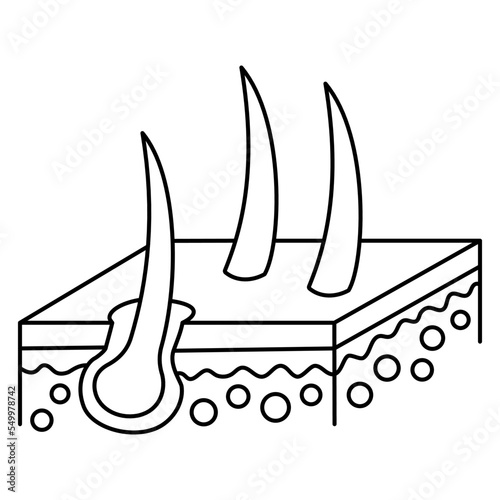 Simple minimal outline icon of the isometric section of human skin with hair follicles. Modern black thin line vector pictogram isolated on transparent background. Line thickness editable
