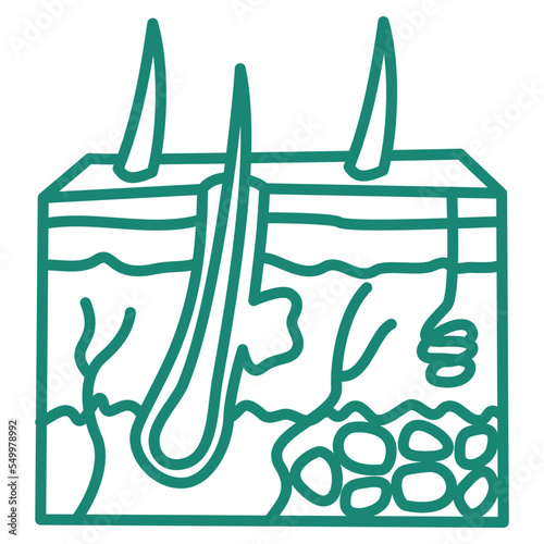 Simple outline modern isometric turquoise icon of the human skin with layers and hair follicles. Minimal vector pictogram with thin lines isolated on transparent background