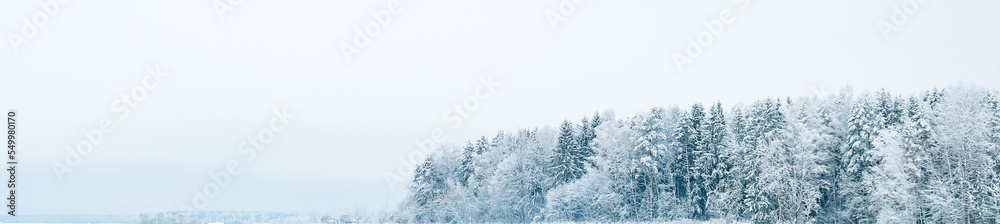 Winter forest with snow,Christmas background.covered frost trees snowdrifts. Magical winter forest. Natural landscape travel outdoors, hiking,spending time outdoors,winter travel,christmas forest. Winter forest with snow,Christmas background.covered frost trees snowdrifts. Magical winter forest. Natural landscape travel outdoors, hiking,spending time outdoors,winter travel,christmas forest.