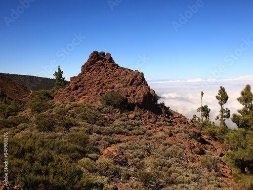 View in the National Park of Teide in tenerife