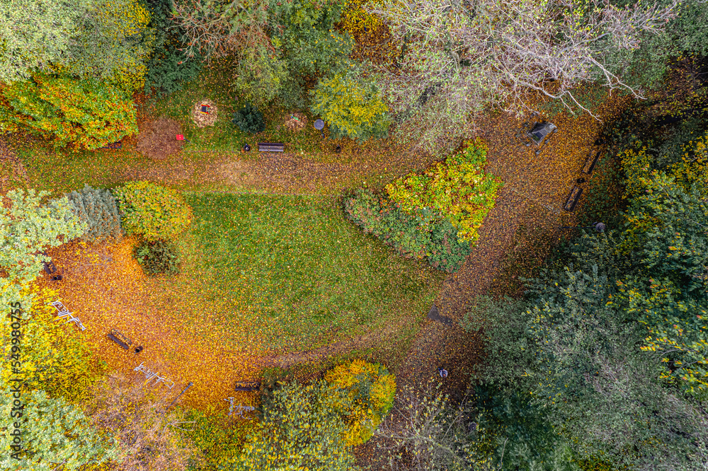 Jesień w parku, Park Olszynka na Śląsku w Polsce gmina Gorzyce jesienią