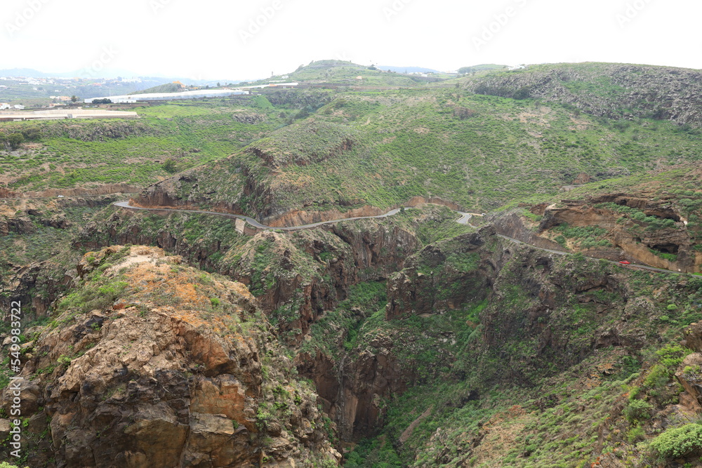 View in the Doramas Rural Park in the north of Gran Canaria




