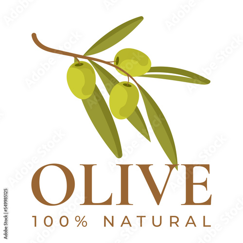 olive oil labels. Olive tree, branches and drop. Black olives. Green olives.	