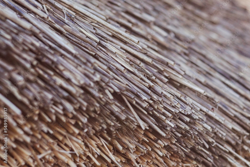 Beige straw texture background Beige straw texture background
