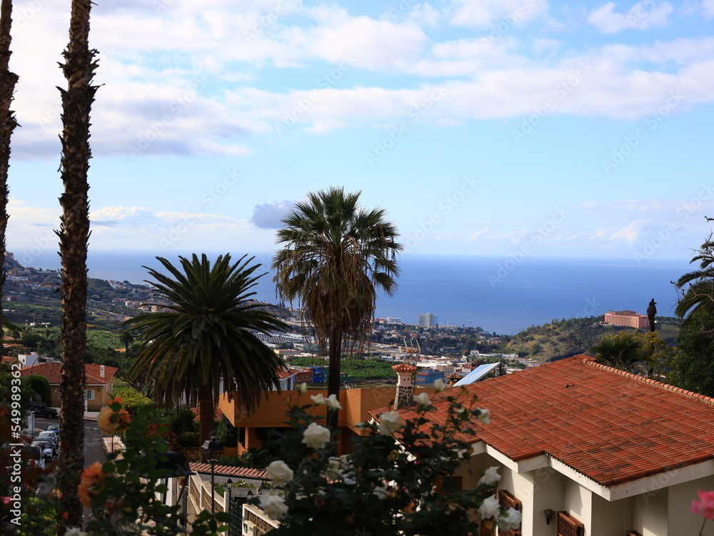 View in the city of La Orotava  in Tenerife