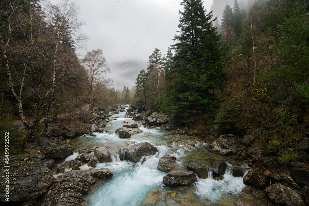 River landscape with forest and snowy mountains in the background River landscape with forest and snowy mountains in the background