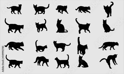 Fototapeta Naklejka Na Ścianę i Meble -  Cat silhouette bundle design, Clip art set on white background, Vector EPS 10