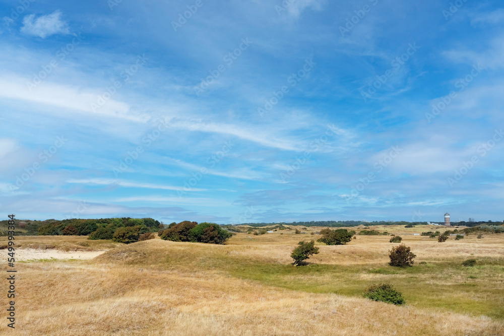 Autumn in the dunes of the Hague in Zuid-Holland