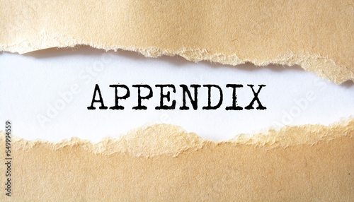 Appendix word written under torn paper. photo