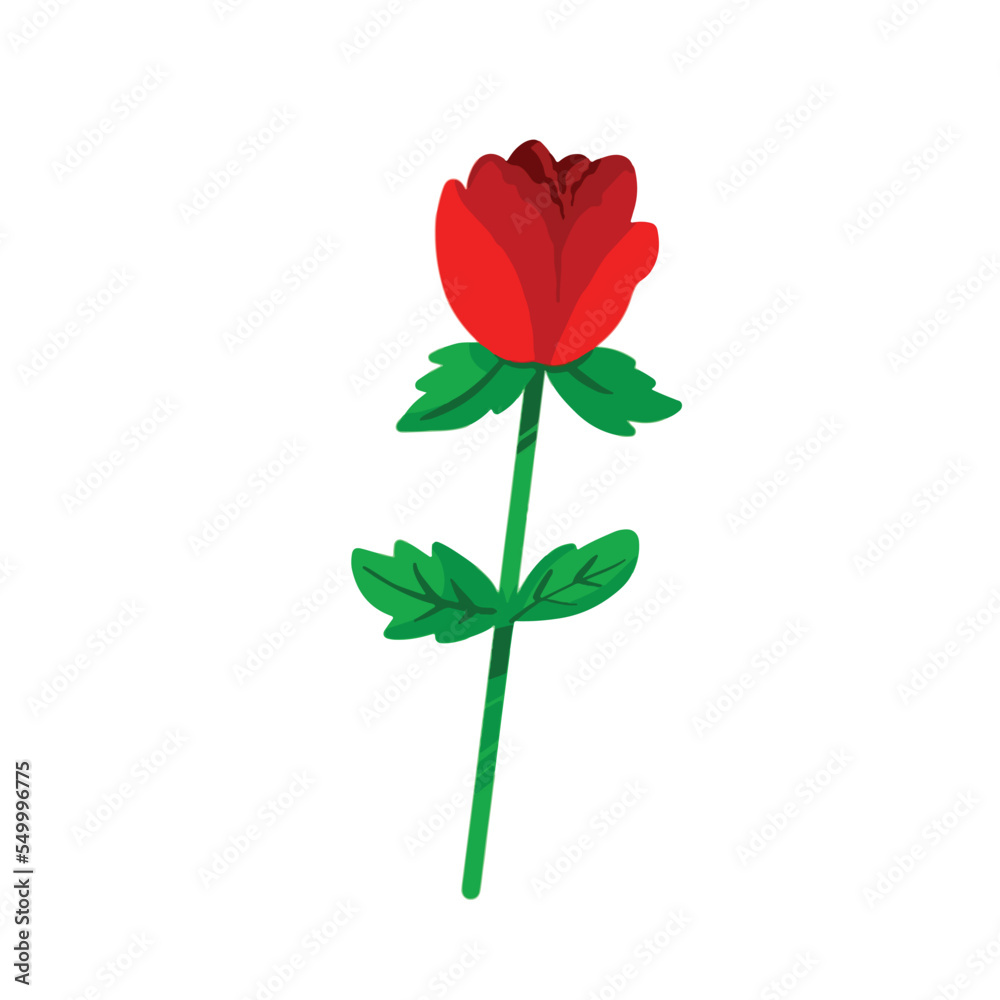Fototapeta premium Romantic single red rose plant vector illustration isolated on white background. Flower drawing with simple flat cartoon art style.