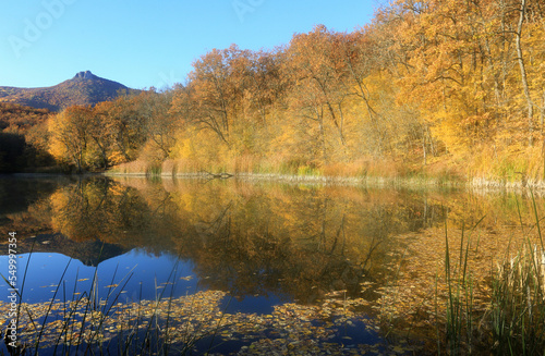 Autumn landscape where yellow trees near the lake are reflected in the water in the mountains
