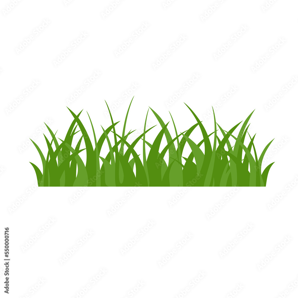 Fototapeta premium Green Grass Isolated on White Background,flowers