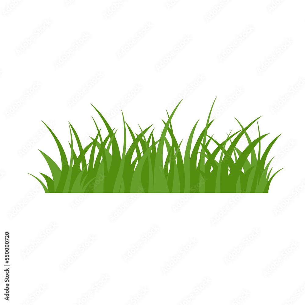 Green Grass Isolated on White Background,flowers Green Grass Isolated on White Background,flowers