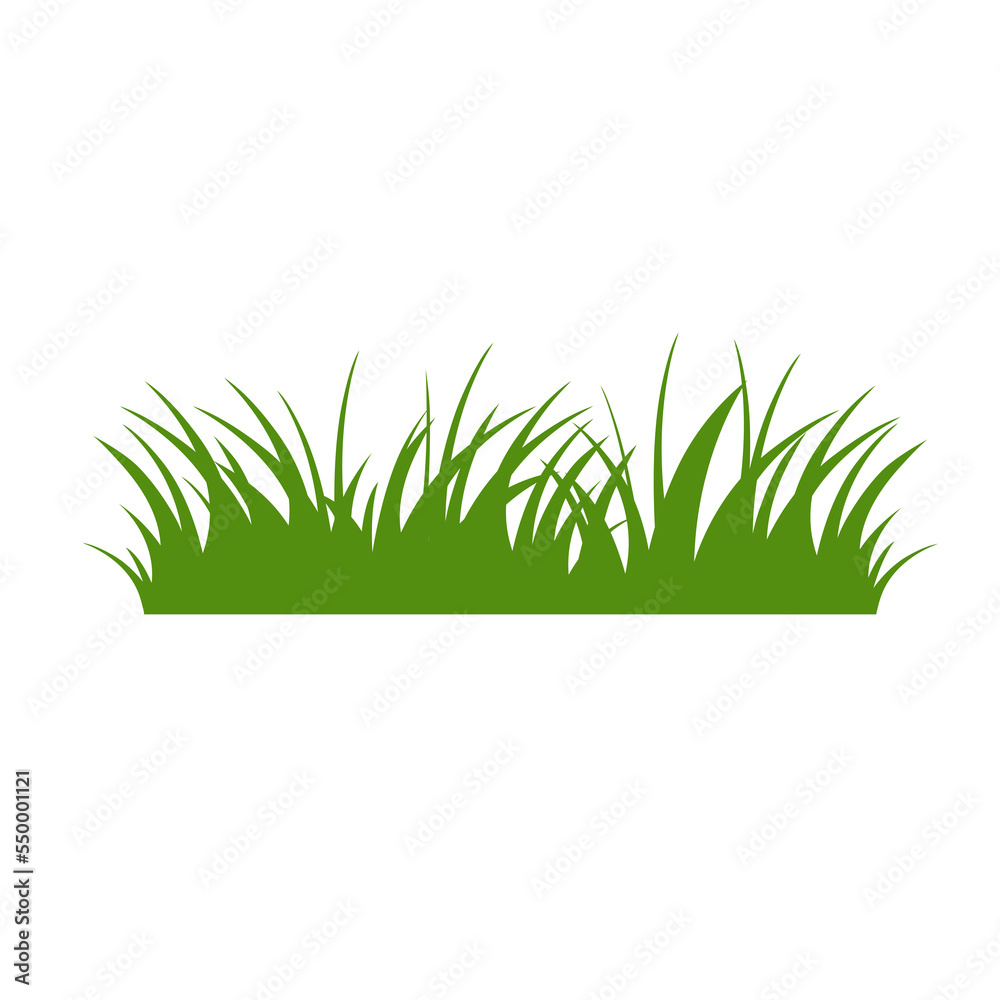 Green Grass Isolated on White Background,flowers Green Grass Isolated on White Background,flowers