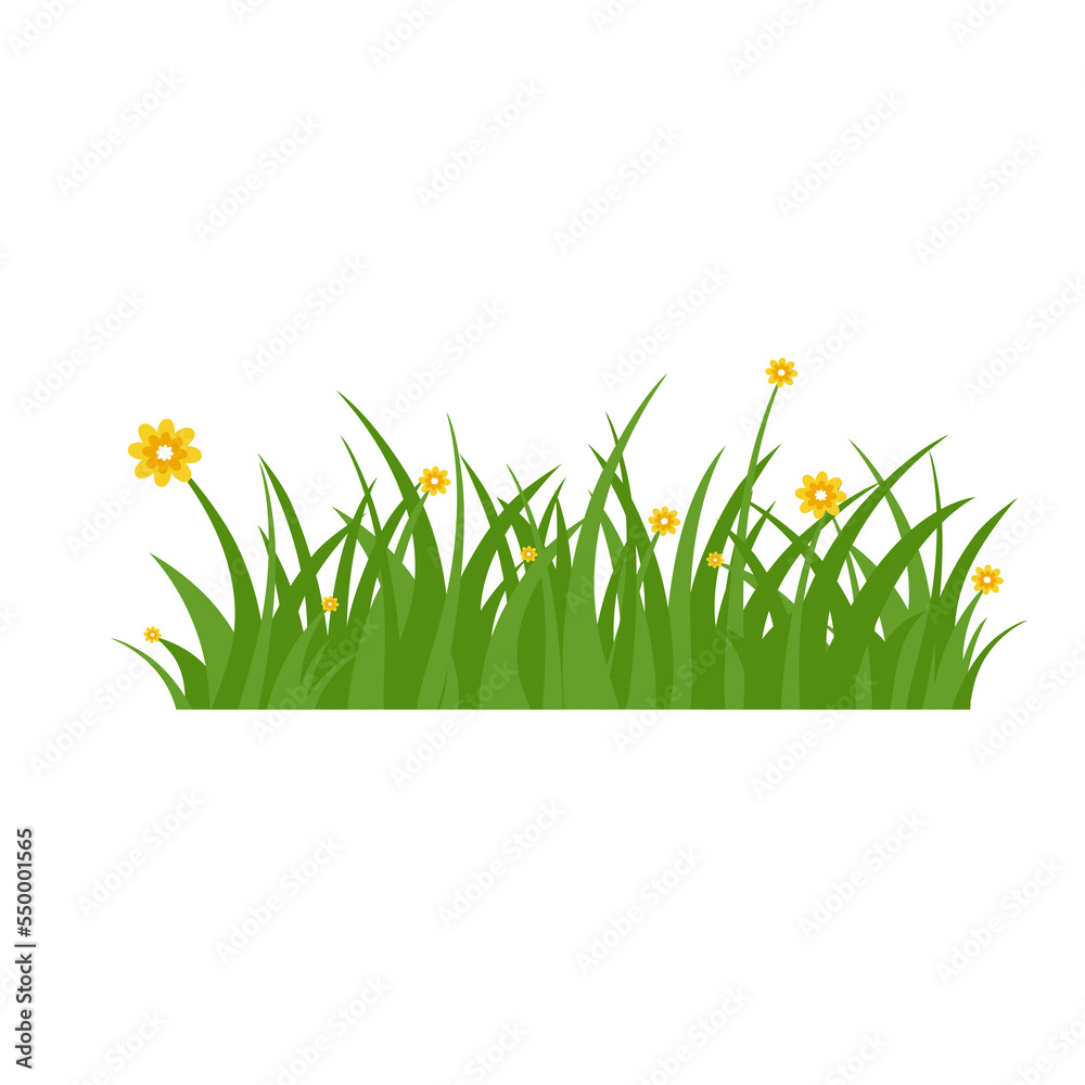 Green Grass Isolated on White Background,flowers Green Grass Isolated on White Background,flowers