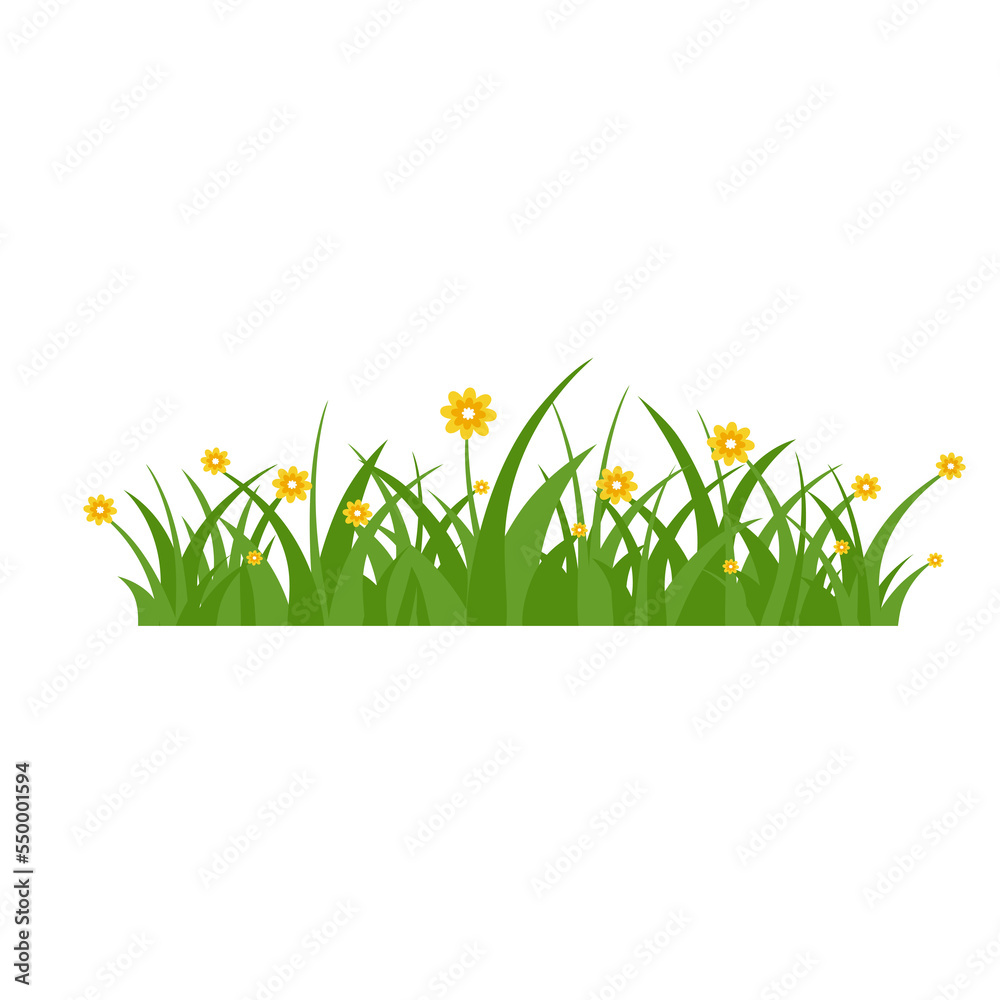 Green Grass Isolated on White Background,flowers Green Grass Isolated on White Background,flowers