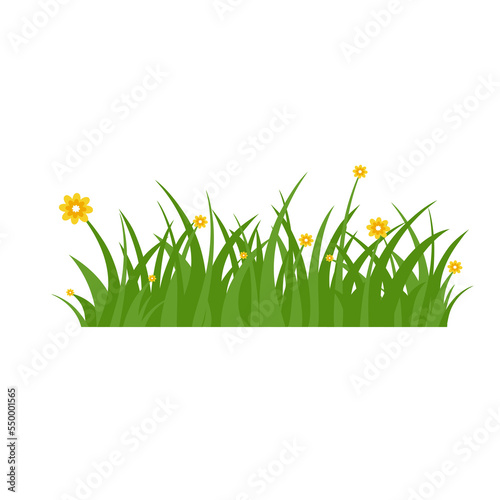 Green Grass Isolated on White Background,flowers