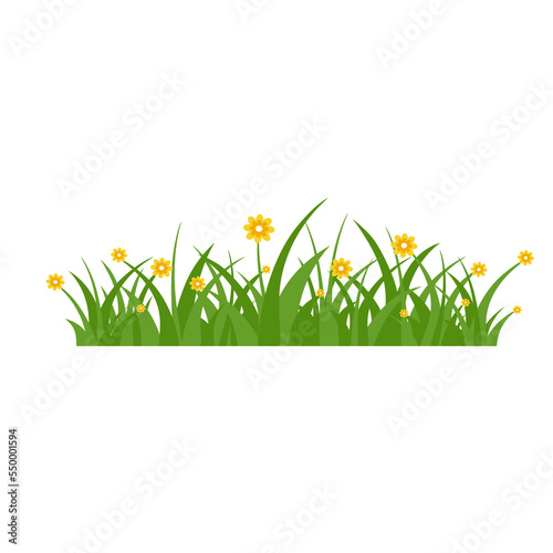 Green Grass Isolated on White Background,flowers © StockBURIN