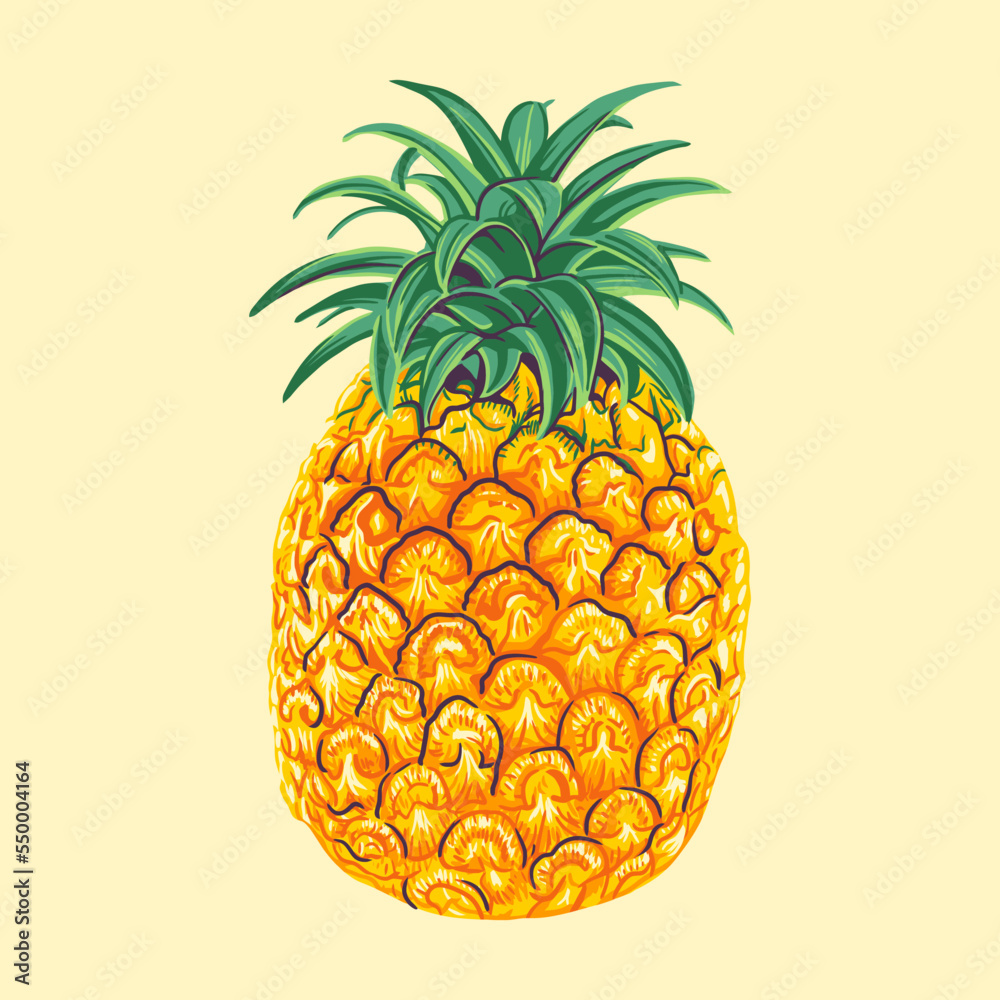 Pineapple in hand drawn cartoon illustration