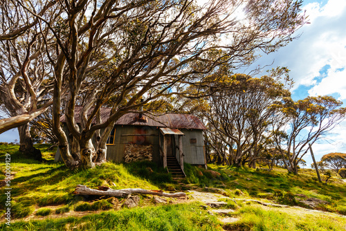Quadro em tela Cope Hut near Falls Creek in Australia