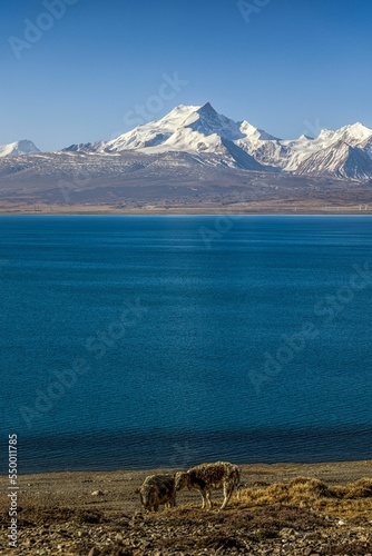 Pekucuo lake and Shishapangma snow mountain group in Xigaze photo