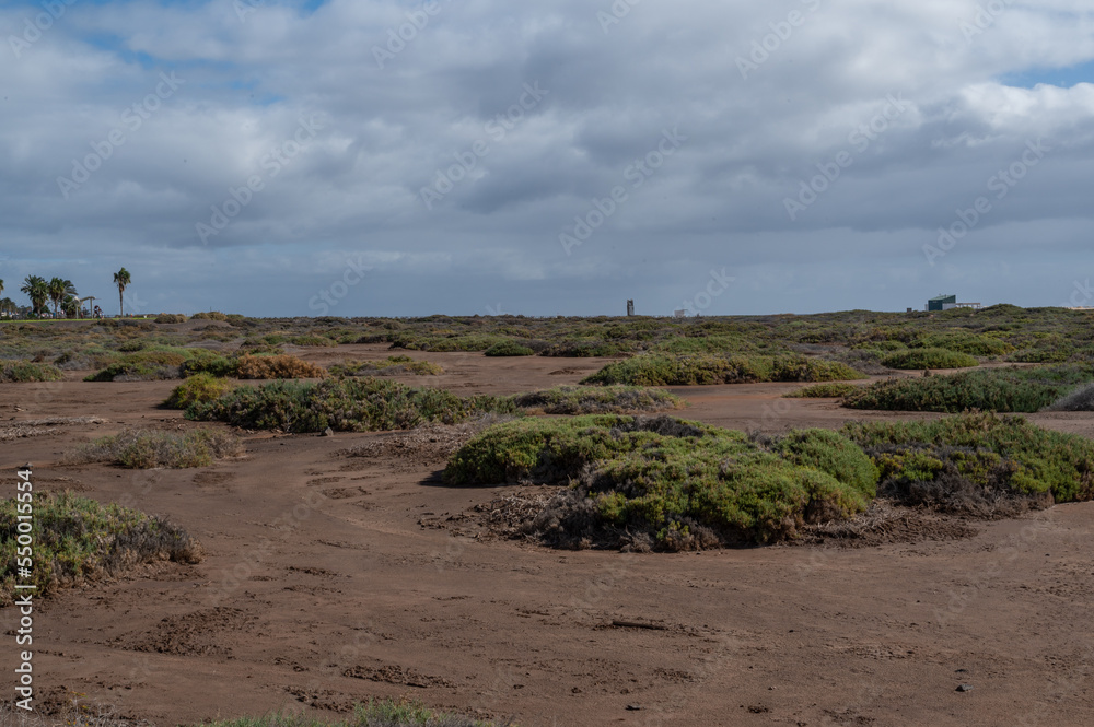 landscape in canarias