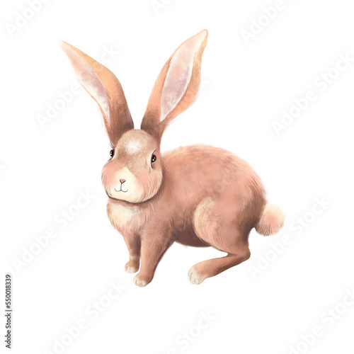 Cute Rabbit character digital illustration (ID: 550018339)