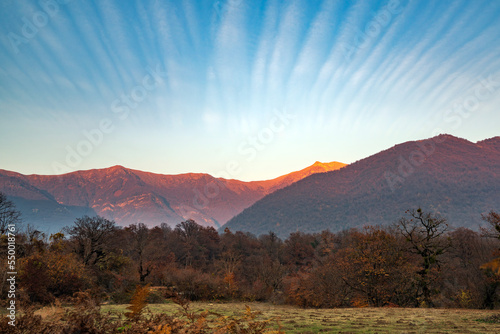 Scenery of yellow autumn forest and mountain range during the sunset hour