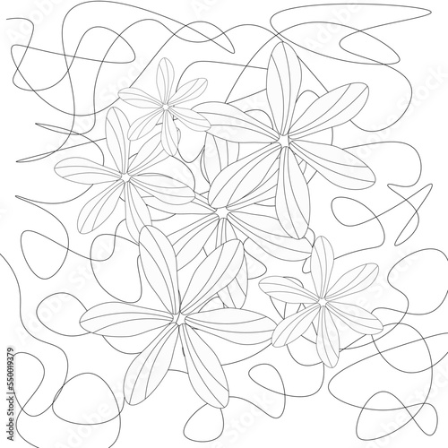 line art ornament with abstract flower that repeats coloring book for drawing botanical vector illustration contour flower. creative biology