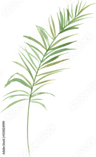 Fototapeta Naklejka Na Ścianę i Meble -  Palm leaf in Watercolor. Decoration element for your design.
