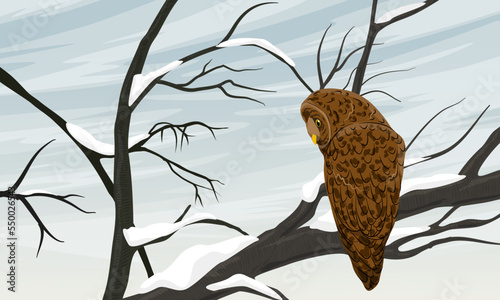 An owl sits on a snow-covered tree branch. Realistic vector landscape
